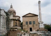 curia01.jpg (12020 oCg)