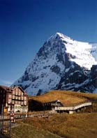 eiger.jpg (10928 oCg)